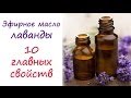 Видео - Масло лаванды: 10 главных свойств