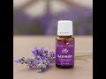 Видео - Эфирные масла Young Living . Лаванда