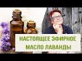 Видео - Лаванда: Настоящее эфирное масло Лаванды. Репортаж с поля Лаванды из Франции