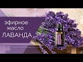 Видео - Эфирное масло Лаванда. Эфирные масла doTERRA