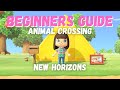 Видео - Beginners Guide to Animal Crossing New Horizons