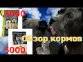 Видео - ЧЕСТНЫЙ ОБЗОР КОРМА ДЛЯ СОБАК Almo nature holistic Bisko Регуляр для кане корсо