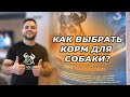 Видео - Как выбрать корм для собаки. Мини-обзор линейки кормов AlfaBulls: LIGHT , MEDIUM, HARD