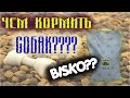 Видео - КОРМ ДЛЯ СОБАК BISKO/ЧТО ЭТО???