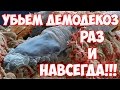 Видео - Демодекоз лечение. Как правильно лечить демодекоз на лице.