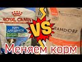 Видео - ЧЕМ КОРМИТЬ ЩЕНКА?!Перестала есть Royal Canin перешли на Grandorf ТОЙ ПУДЕЛЬ