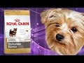 Видео - Корм для собак Royal Canin | Отзывы | Производитель.