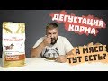 Видео - ЕСТЬ ЛИ МЯСО В ROYAL CANIN ? | Роял Канин сухой корм для щенков | Корм ROYAL CANIN Dachshund Junior