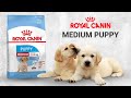 Видео - Сухой корм Royal Canin Medium Puppy для щенков средних пород до 12 месяцев