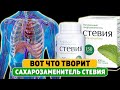 Видео - Заменитель сахара СТЕВИЯ! Вот что будет если заменять сахар на стевию. Стевия полезные свойства!