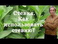 Видео - Стевия. Как использовать стевию?