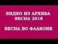 Видео - ВИДЕО ИЗ АРХИВА. ВЕСНА ВО ФЛАКОНЕ