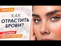 Видео - КАК ОТРАСТИТЬ БРОВИ ДОМА? Как отрастить волоски?🌾 #ЗаметкиBeautyМастера