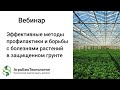 Видео - Вебинар &quot;Эффективные методы профилактики и борьбы с болезнями растений в защищенном грунте&quot;