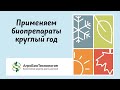 Видео - Применяем биопрепараты круглый год