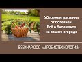 Видео - Вебинар &quot;Убережем растения от болезней. Всё о биозащите на вашем огороде&quot;