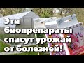 Видео - Биологические препараты. Как использовать в теплице. Проверено годами