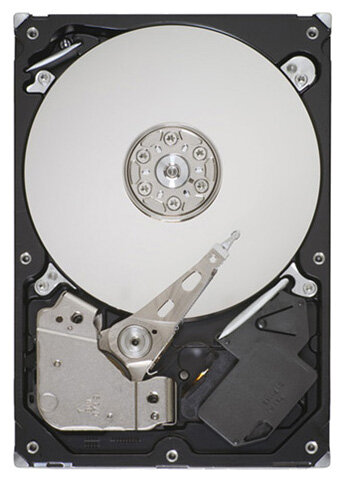 Жесткий диск Seagate ST3250312AS - фото 1
