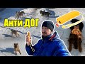 Видео - Отпугиватель собак | Анти Dog | Собрал всех собак