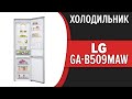 Видео - Холодильник LG GA-B509MAWL