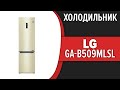 Видео - Холодильник LG GA-B509MLSL (GA-B509MESL, GA-B509MQSL)