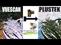 Видео - How To Scan 35mm Film Negatives With  VueScan And Plustek 8100  (Ft  Fuji c200)