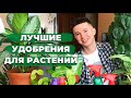 Видео - Удобрения для Комнатных Растений » Мои Фавориты