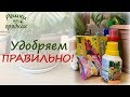 Видео - Удобрение комнатных цветов | Мой опыт и важные советы!