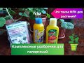 Видео - Универсальные удобрения.NPK формула для цветов. #цветы #удобрение #пеларгония #советы