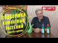 Видео - Удобрение для всех комнатных цветов, как правильно разводить и поливать рассказывает Тетя Таня