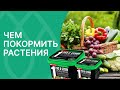 Видео - Лучшие новинки удобрений для наших растений!