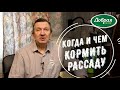 Видео - Чем и когда кормить рассаду томатов, перцев и огурцов. Удобрение Добрая сила для рассады