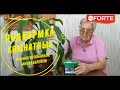 Видео - Подкормка комнатных растений пролонгированным наноудобрением .Подходит для рассады и саженцев