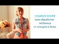 Видео - Блохи у кошки или собаки: 5 ОШИБОК ХОЗЯЕВ ПРИ ОБРАБОТКЕ любимца препаратом от клещей и блох