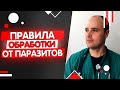 Видео - Как часто обрабатывать кошку от блох, глистов и клещей