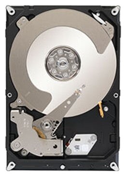Жесткий диск Seagate ST1000NC001 - фото 1