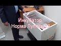 Видео - Обзор инкубатора Норма Луппер 72