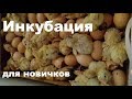 Видео - Инкубация бройлера в Блице Норма и Луппер. Мелочи, особенности и ошибки. Для начинающих птицеводов