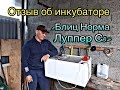 Видео - Честный Отзыв об Инкубаторе Норма Луппер С8.