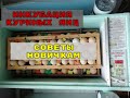 Видео - ИНКУБАЦИЯ КУРИНЫХ ЯИЦ СОВЕТЫ НОВИЧКАМ