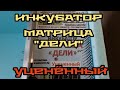 Видео - уценённый инкубатор матрица &quot;дели&quot; от производителя... что нам прислали.