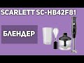 Видео - Блендер Scarlett SC-HB42F81