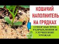 Видео - Кошачий наполнитель на грядках заметно улучшит урожай